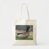 Male Mallard Duck Canvas tas (Voorkant)