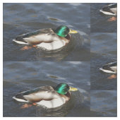 Male Mallard Duck Fabric Stof (Close Up)