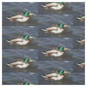 Male Mallard Duck Fabric Stof (Swatch)