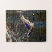 Male Mallard Duck in vlucht Legpuzzel (Horizontaal)