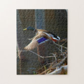 Male Mallard Duck in vlucht Legpuzzel (Verticaal)