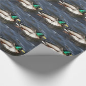 Male Mallard Duck Wrapping Paper Cadeaupapier (Hoek)