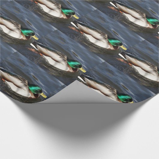 Male Mallard Duck Wrapping Paper Cadeaupapier (Hoek)