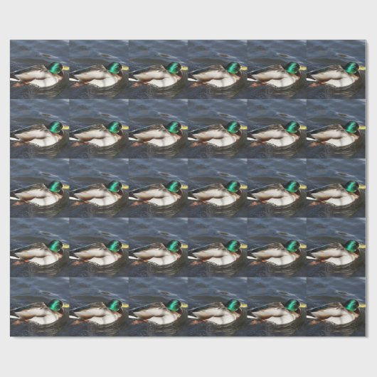Male Mallard Duck Wrapping Paper Cadeaupapier (Vlak)