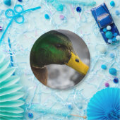 Male Mallard Portrait Papieren Bordje (Feest)
