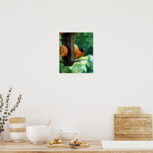 Male Oriole Poster (Keuken)