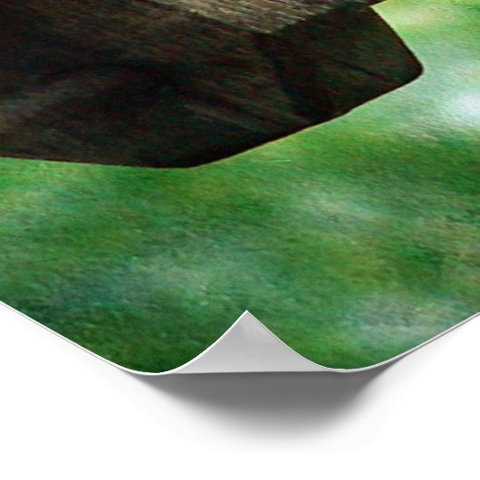 Male Oriole Poster (Hoek)