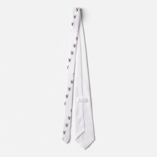 Male Pantropical Jumping Spider Stropdas (Achterkant)