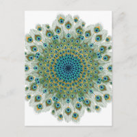 Male Peacock Colorful Mandala