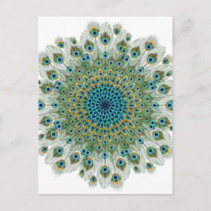 Male Peacock Colorful Mandala Briefkaart