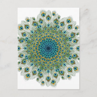 Male Peacock Colorful Mandala Briefkaart