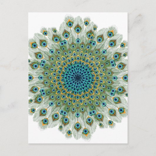 Male Peacock Colorful Mandala Briefkaart (Voorkant)