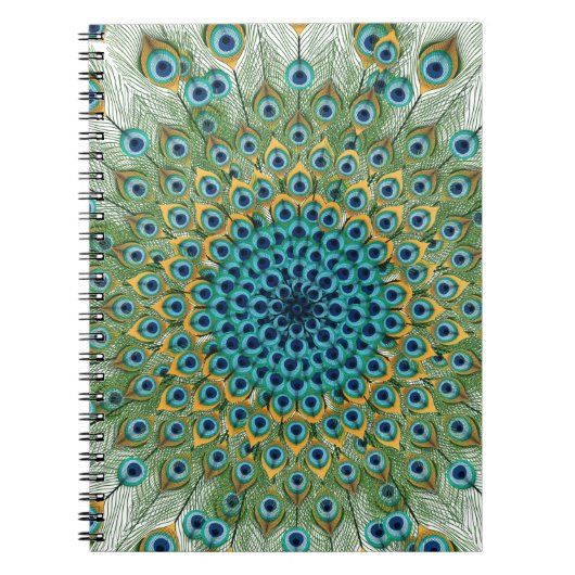 Male Peacock Colorful Mandala Notitieboek (Voorkant)