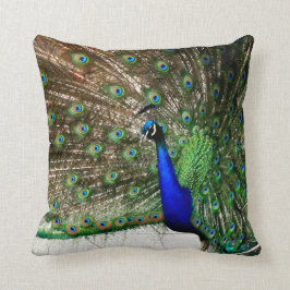 Male Peacock-doetherscherm Kussen