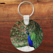 Male Peacock-doetherscherm Sleutelhanger (Voorkant)