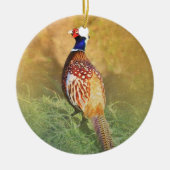 Male Pheasant Ornament (Voorkant)