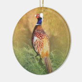 Male Pheasant Ornament (Links)