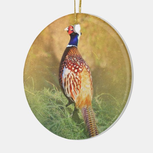 Male Pheasant Ornament (Links)