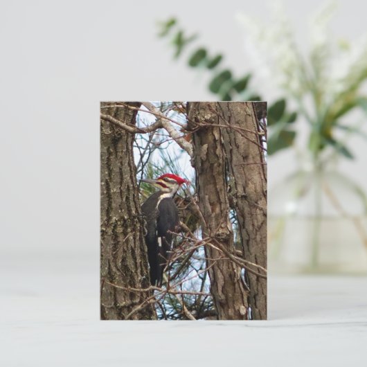 Male Pileated Woodpecker Briefkaart (Staand voorkant)