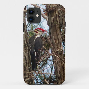Male Pileated Woodpecker Case-Mate iPhone Case