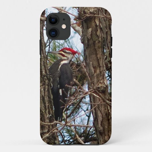 Male Pileated Woodpecker Case-Mate iPhone Case (Achterkant)