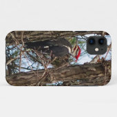 Male Pileated Woodpecker Case-Mate iPhone Case (Achterkant (horizontaal))