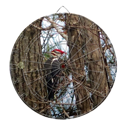 Male Pileated Woodpecker Dartbord (Voorkant)