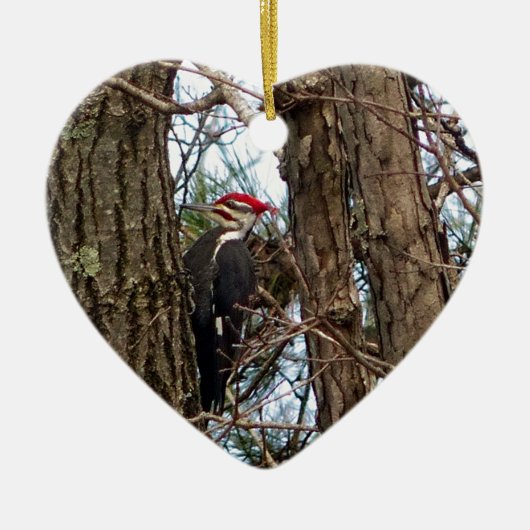 Male Pileated Woodpecker Keramisch Ornament (Voorkant)