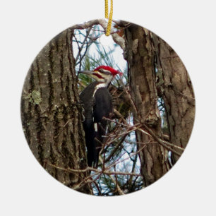 Male Pileated Woodpecker Keramisch Ornament