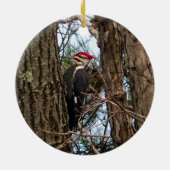 Male Pileated Woodpecker Keramisch Ornament (Achterkant)