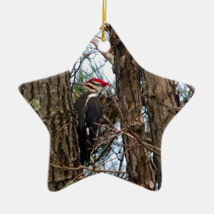 Male Pileated Woodpecker Keramisch Ornament