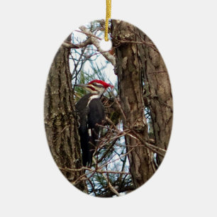 Male Pileated Woodpecker Keramisch Ornament