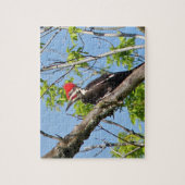 Male Pileated Woodpecker Legpuzzel (Verticaal)
