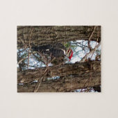 Male Pileated Woodpecker Legpuzzel (Horizontaal)