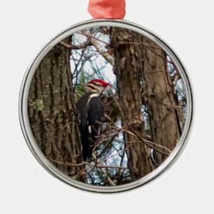 Male Pileated Woodpecker Metalen Ornament