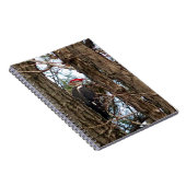 Male Pileated Woodpecker Notitieboek (Rechterzijde)