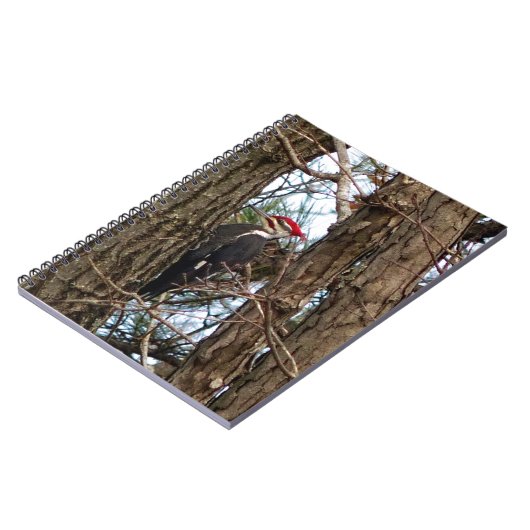 Male Pileated Woodpecker Notitieboek (Linkerzijde)