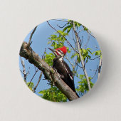 Male Pileated Woodpecker Ronde Button 5,7 Cm (Voorkant)
