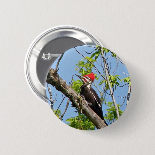Male Pileated Woodpecker Ronde Button 5,7 Cm (Voorkant /achterkant)