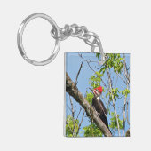 Male Pileated Woodpecker Sleutelhanger (Voorkant Links)