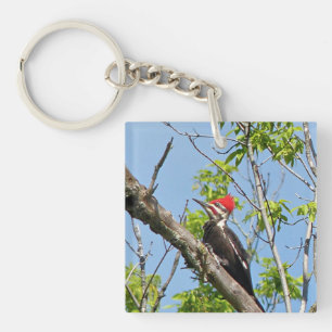 Male Pileated Woodpecker Sleutelhanger