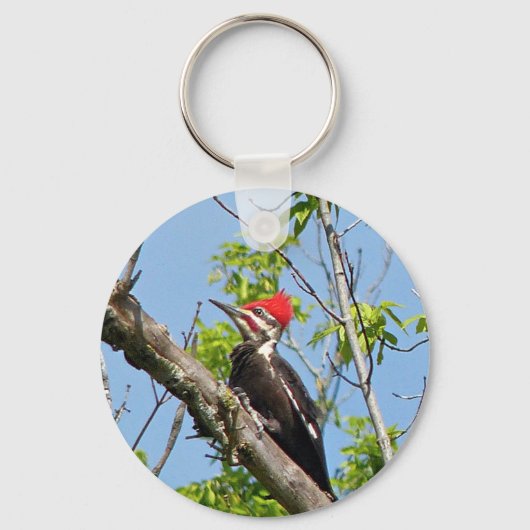 Male Pileated Woodpecker Sleutelhanger (Voorkant)