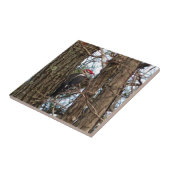 Male Pileated Woodpecker Tegeltje (Zijkant)