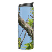 Male Pileated Woodpecker Thermosbeker (Gedraaid links)