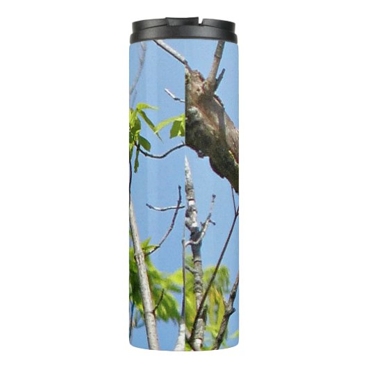 Male Pileated Woodpecker Thermosbeker (Achterkant)