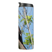 Male Pileated Woodpecker Thermosbeker (Geroteerd rechts)