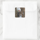Male Pileated Woodpecker Vierkante Sticker (Tas)