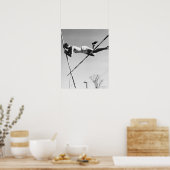 Male Pole Vaulter Poster (Keuken)