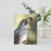 Male Quail, Arizona Briefkaart (Staand voorkant)
