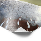 Male Quail Foto Afdruk (Hoek)